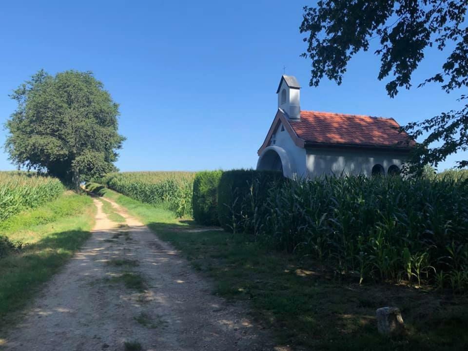 Lo'Gite L'Allee Du Val Lalaye Exterior photo